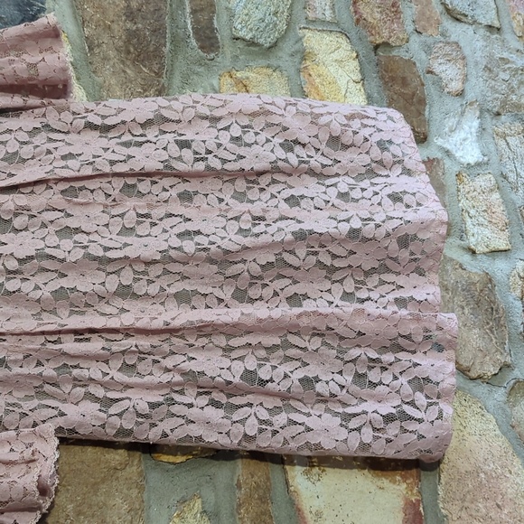 Rabbit Rabbit Rabbit Pink Lace Dress - Picture 3 of 11